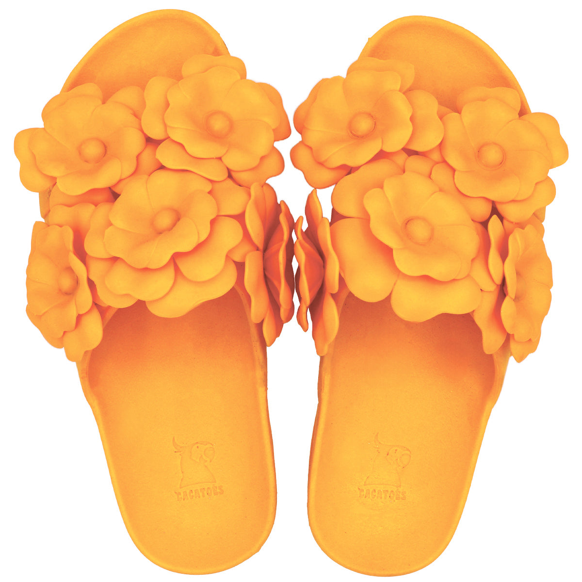 Sandales Cacatoès Camélia Tournesol, vue de face, design lumineux et estival, idéal pour un look vibrant et décontracté.