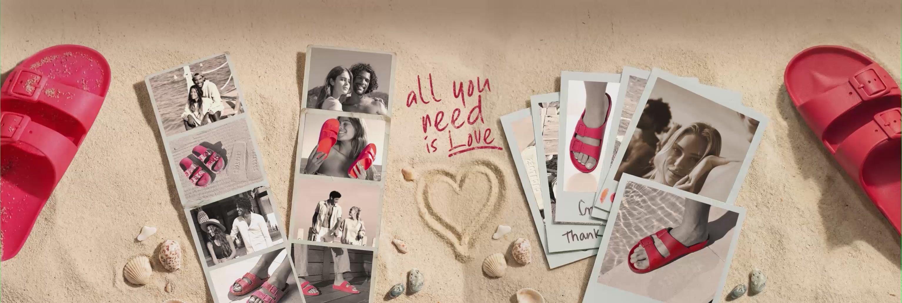 Charger la vidéo : 